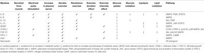 The Potential Role of Contraction-Induced Myokines in the Regulation of Metabolic Function for the Prevention and Treatment of Type 2 Diabetes